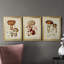 «Mushroom Variétés I», reproduction encadrée de qualité supérieure - prête à être accrochée-1701938533-1701938532-1701923971