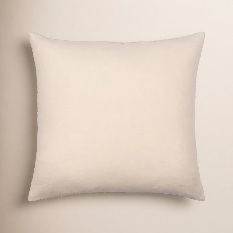 Selma Pillow Cover & Insert Throw Down, Beige, 20" x 20"