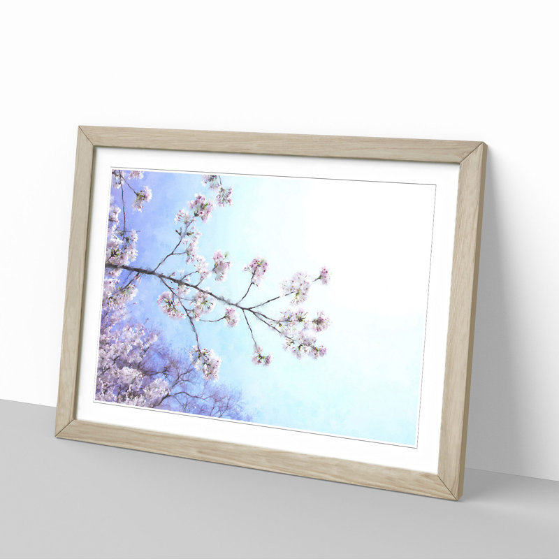 Pink Cherry Blossom Tree In Sunlight - Single Picture Frame Print on MDF, Oak, 45cm H x 63cm W x 2cm D