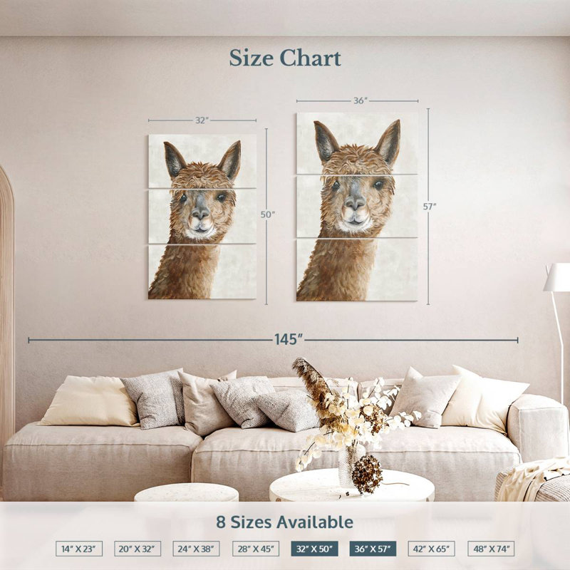 Brampt Suri Alpaca II, H 45 po x l 28 po
