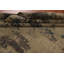 Tapis indien en laine Handmande