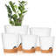 Pots à plantes avec trou de drainage-311241077