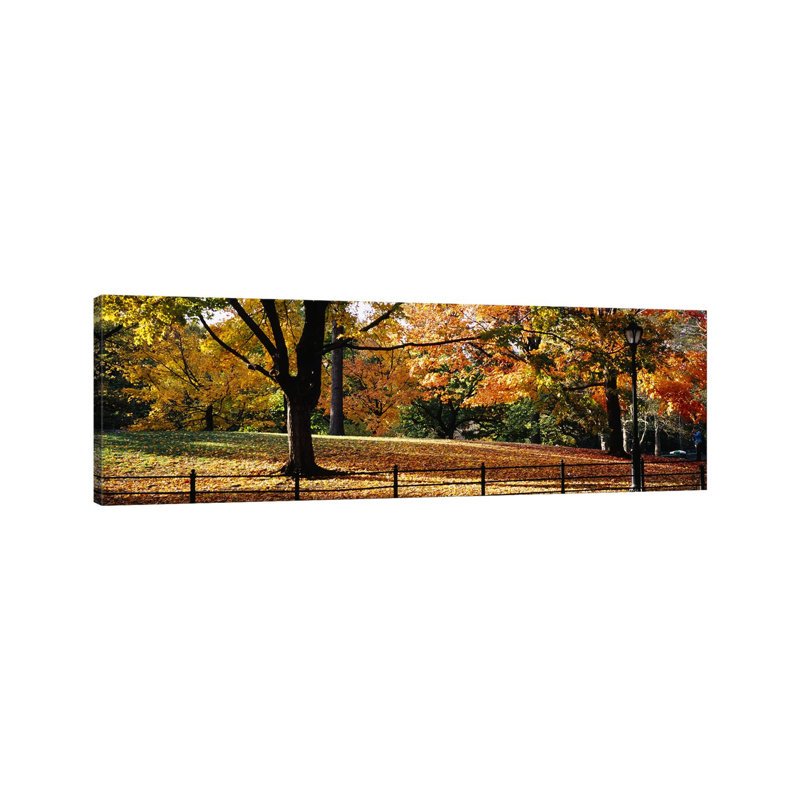 Trees In A Forest, Central Park, Manhattan, New York City, New York, USA - Wrapped Canvas Panoramic Print