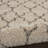 Youn Indoor Rug-921344516