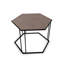 Renee Hexagonal Coffee Table with Metal Frame