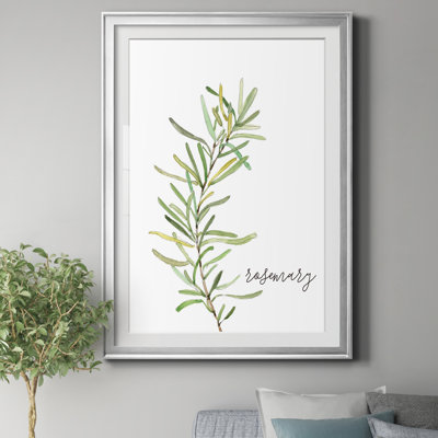 " Fresh Sprig Rosemary " Painting Print