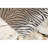 Osman Animal Print Indoor / Outdoor Rug-1804264274