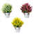Assortment 1