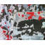 One-of-a-Kind 7'11" X 9'9" Area Rug