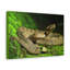 Art mural majestueux serpent-348345059