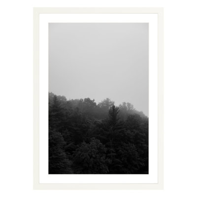Mountain Fog by Amanda Anderson