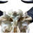 Real Female Cape buffalo Skull