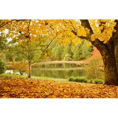 Paysage d'automne - Photographie sur toile tendue
