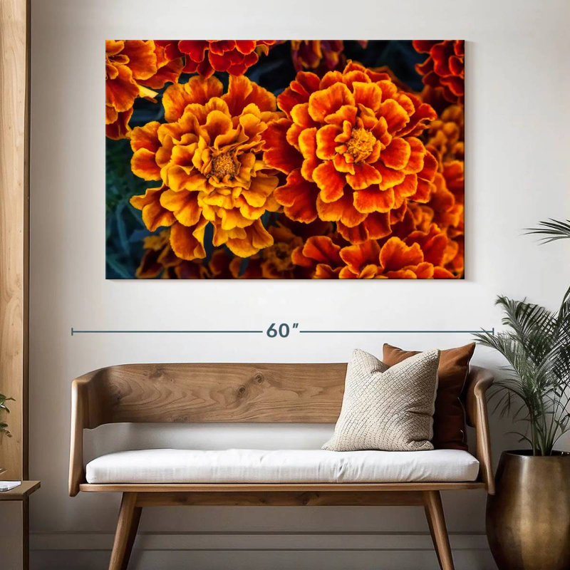 Fleurs de souci Harnek, H 34 po x l 51 po