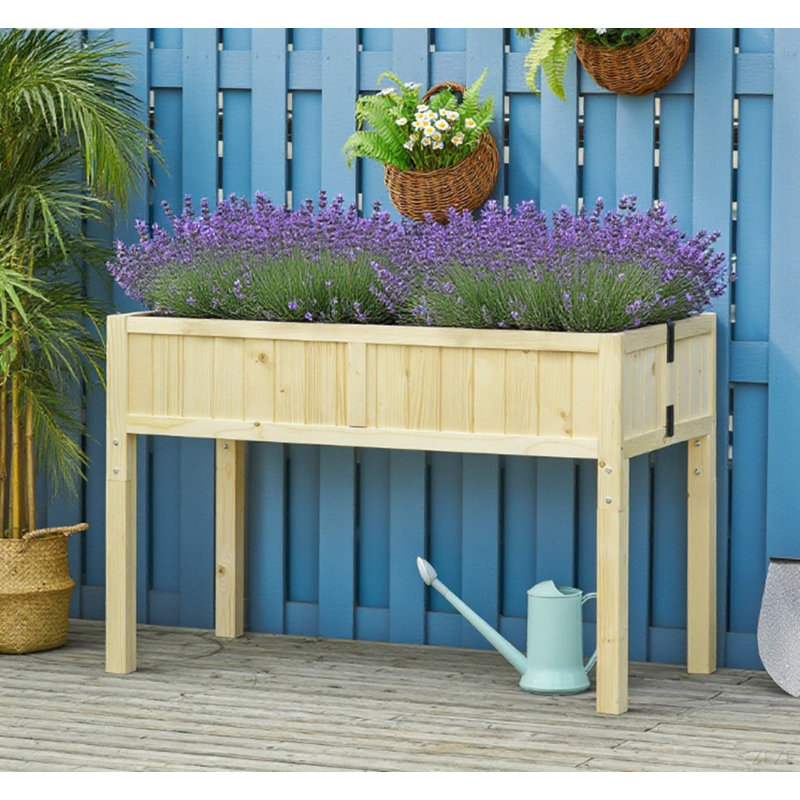 Ensemble de jardin surélevé galvanisé pour fleurs, herbes et légumes
