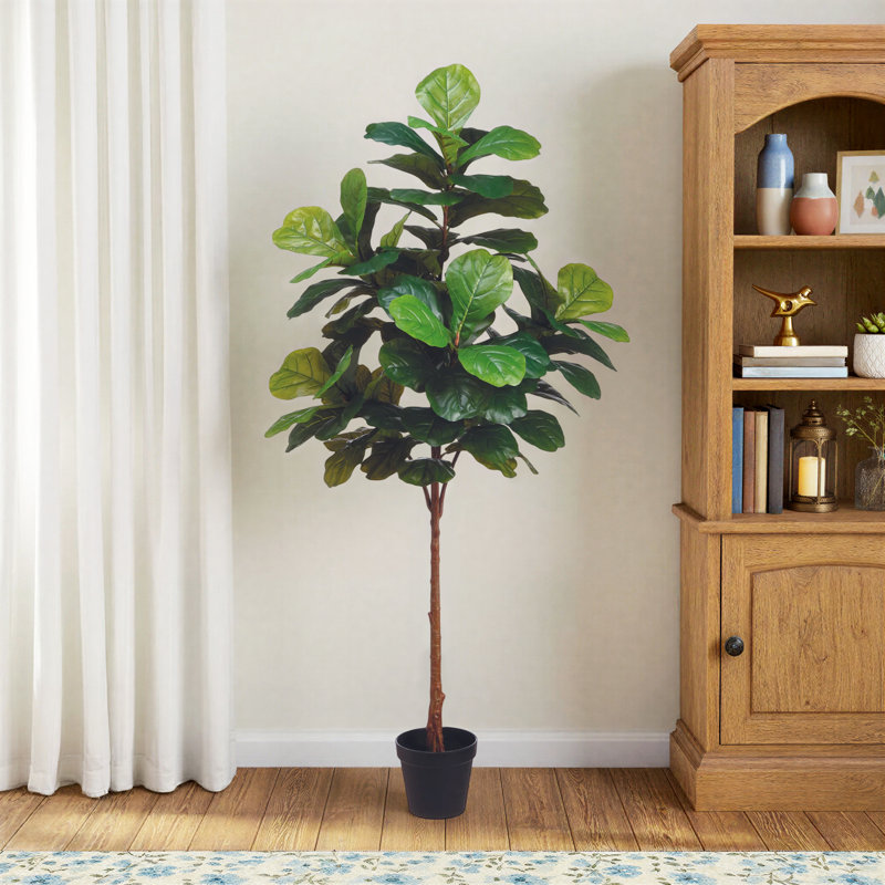 Birch Lane™ Weatherhill Elspeth Fiddle Leaf Fig Tree Drop-In | Wayfair