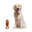 Figurine de famille Deardorff