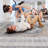 Area Rug, Collection 5X7 Blue/Medallion Non-Shedding Living Room Bedroom Dining Home Office Stylish And Stain Resistant
