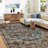 Washable Oriental Indoor Rug-1643830391