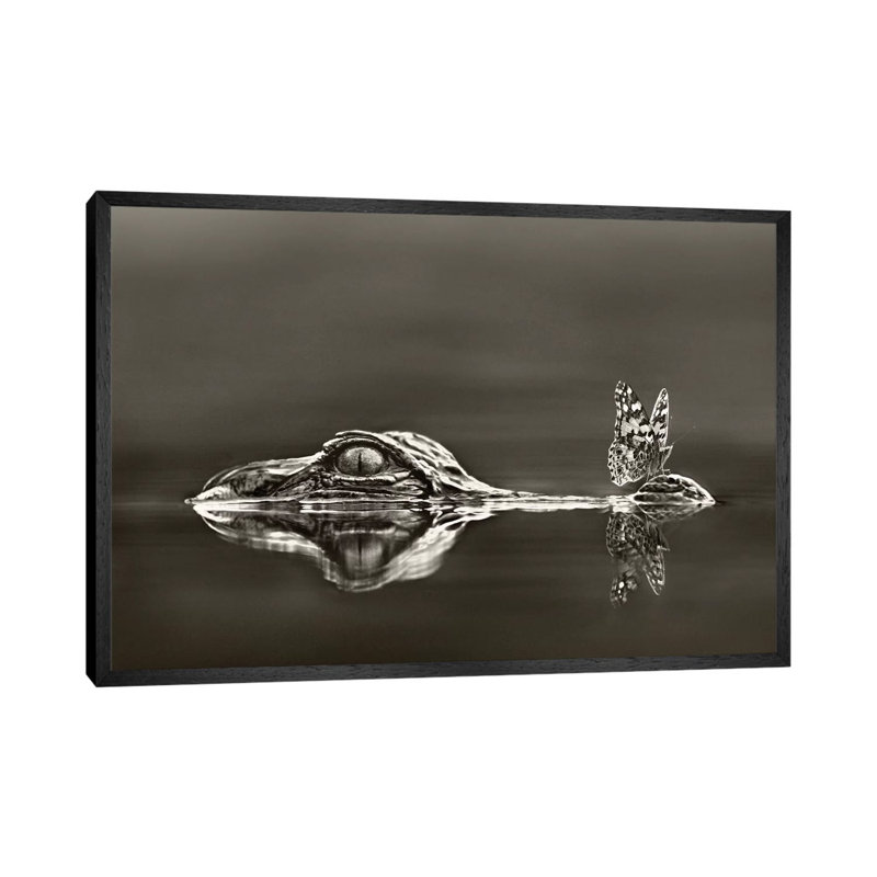 American Alligator With A Butterfly On Its Snout, Everglades National Park, Florida by Tim Fitzharris - Print on Canvas