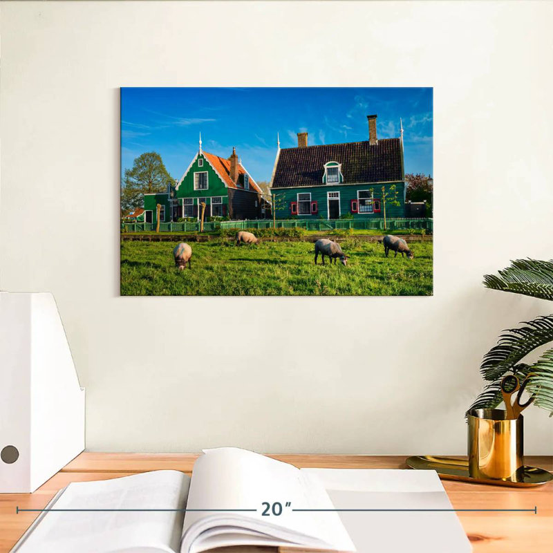 Lilie Zaanse Schans Sheep, 8" H x 12" W