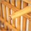 Causeuse d'extérieur en bois d'acacia Terassi avec coussins confortables et conception durable pour le patio et le balcon