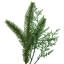 Real Touch Wind River Fir With Glittered Pinecones Artificial Christmas Wreath - 24" - Unlit