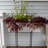 Drennon Handmade Window Box Planter-27170277