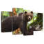 Ours grizzly humide Brampt