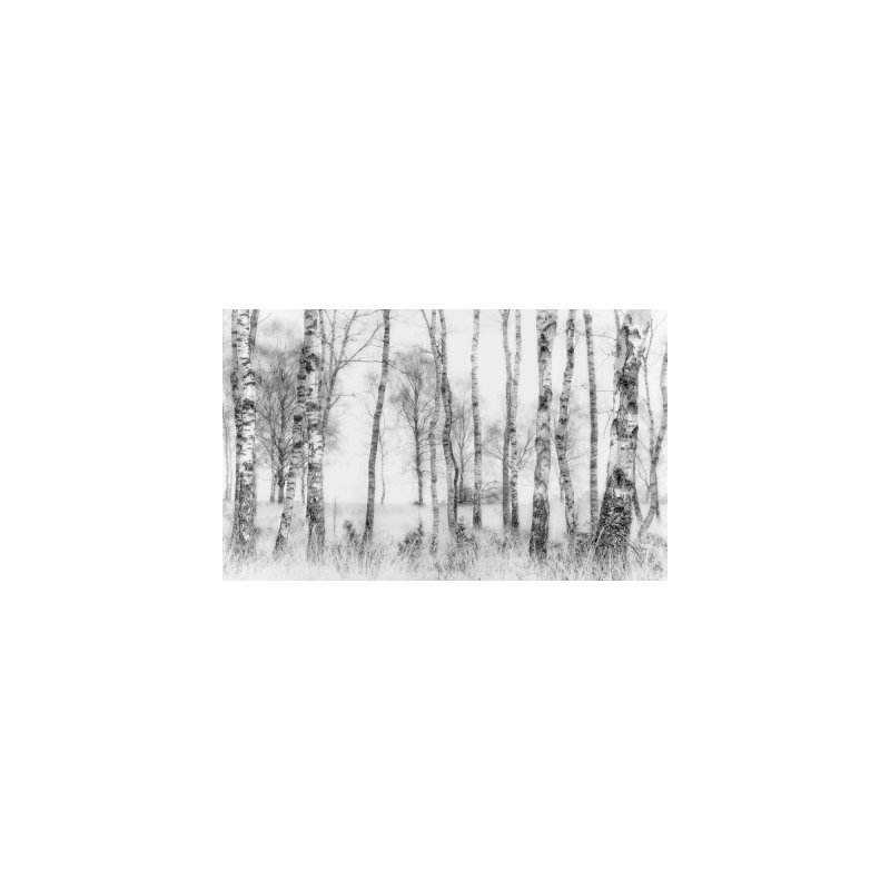 Wrapped Canvas Print, 50.8 cm H x 76.2 cm W