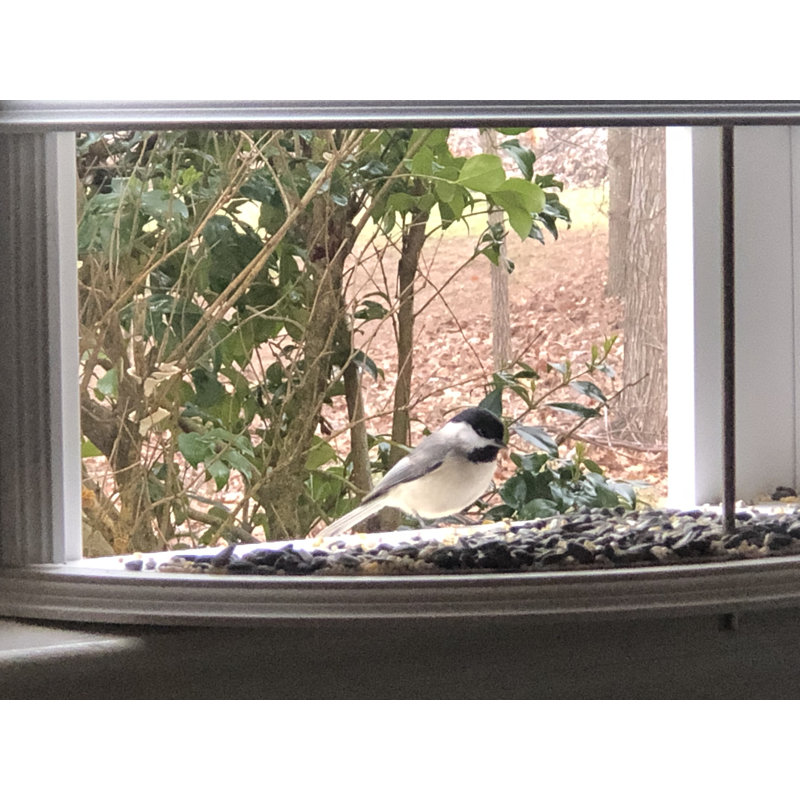 Krick Window Tray Bird Feeder