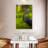 Brampt Grassland Grey Heron-108412304