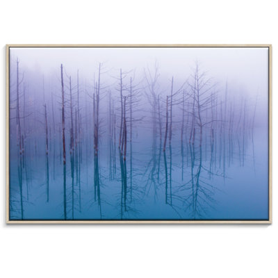 Print on Canvas
