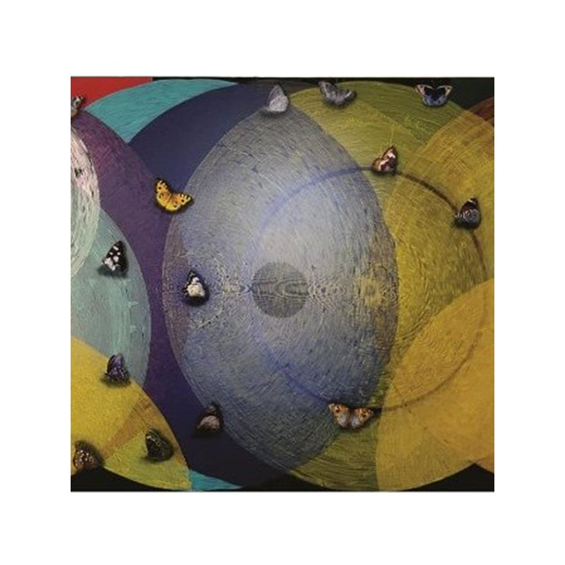 «Happy Vibration Large», peinture acrylique par Ghanshyam Gupta - Cercles concentriques abstraits de 80 po x 194 po avec papillons, toile peinte à la main éclatante, décoration murale remarquable