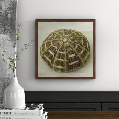 Judy Stalus - Single Picture Frame Print