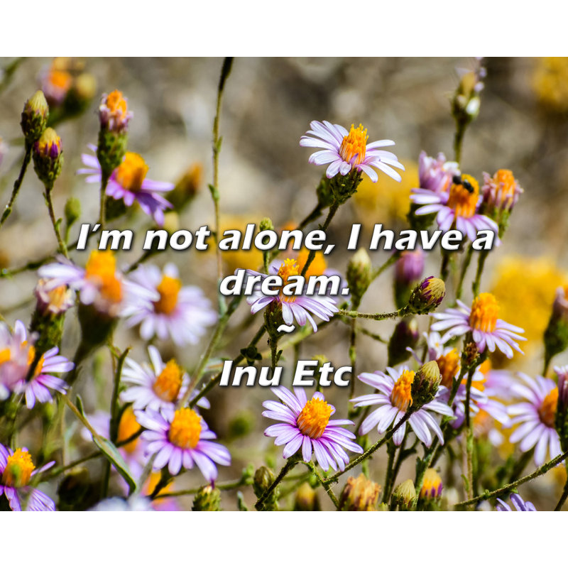 Inu Etc Citation: Je ne suis pas seul, j'ai un rêve.