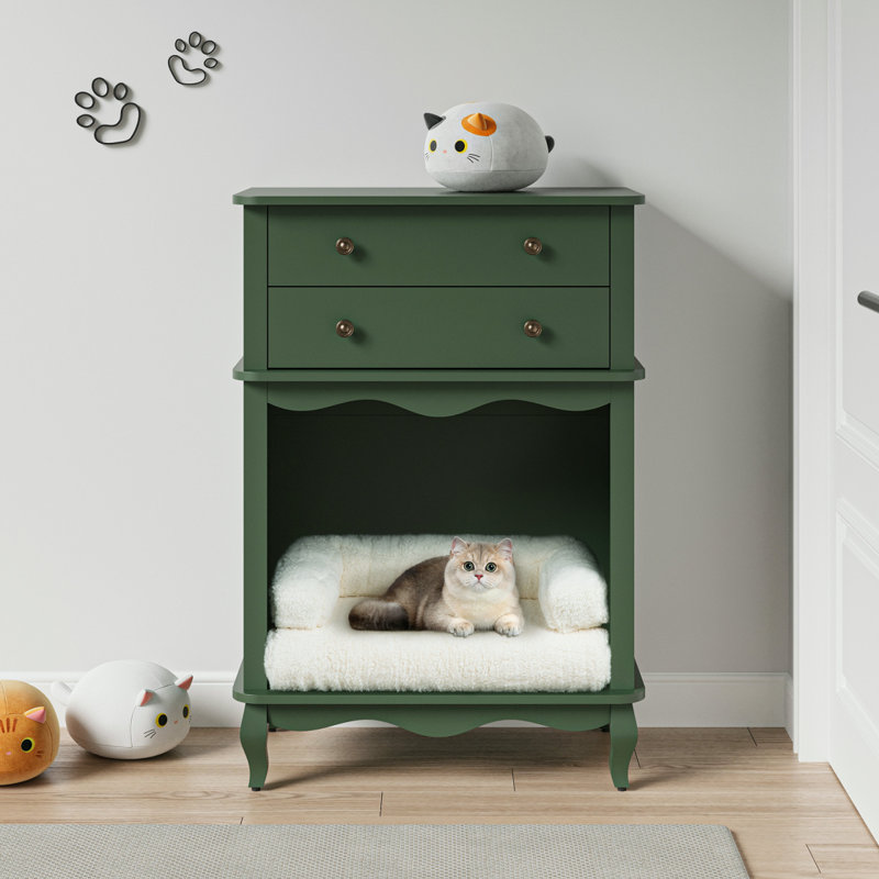Armoire de rangement pour animaux, 2 tiroirs et espace semi-ouvert, litière cachée pour chat, table de bout multifonctionnelle - vert
