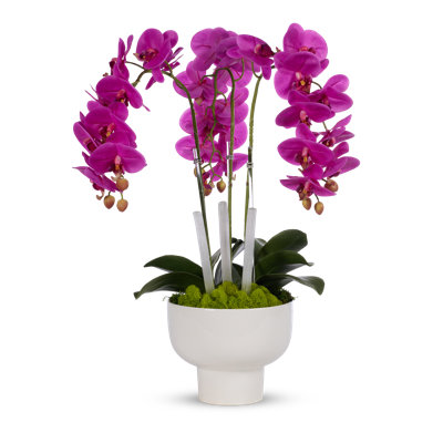 Orchid Faux Floral in Pot
