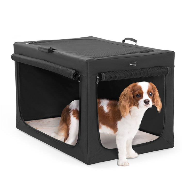 Cage pour chien Cozzi, Moyen (H 19 po x l 19,5 po x P 30 po), Noir