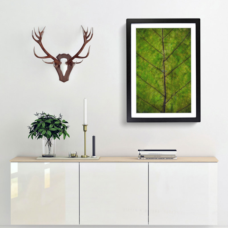 Leaf Lines - Framed Print, 45cm H x 33cm W x 2cm D, Black Framed