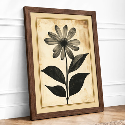 Daisy Study Botanical - Framed Print