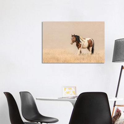 USA, Utah, Tooele County. Wild horse close-up. 1 Piece Wrapped Canvas Wall Art