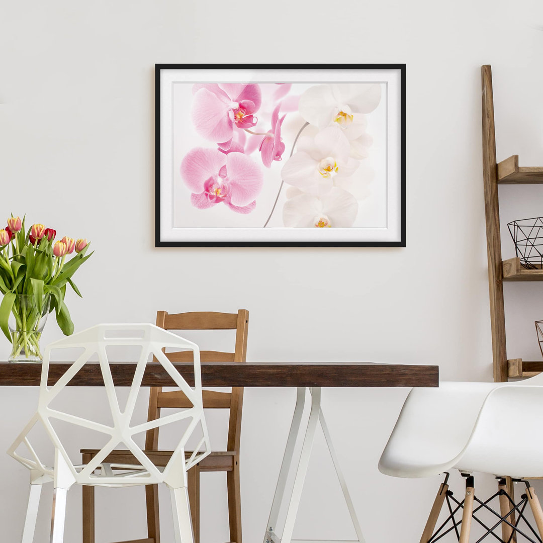 Gerahmtes Papierbild Zarte Orchideen