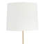 Coastal Living Parasol Table Lamp