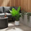 Paquet de 2 plantes artificielles en pot Philodendron - 17,7 po Faux arbres verts avec base en mousse de ciment pour décoration de table pour la maison et le bureau