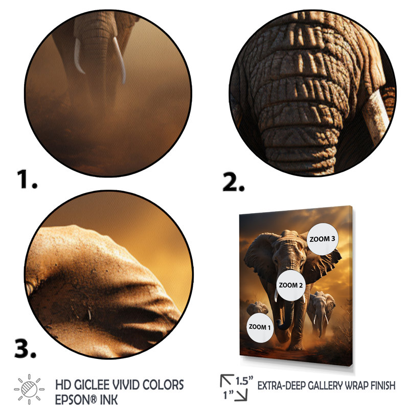 Éléphant chuchotant Izzibella d'Afrique III - impression, Cadre photo noir, H 20 po x l 12 po x P 1 po