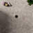 Esperanza 11.81 In. X 11.81 In. Matte Porcelain Mosaic Floor And Wall Tile (0.96 Sq. Ft. / Each)-103089243