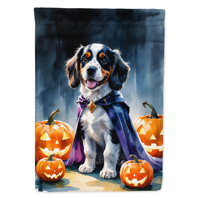 Drapeau de jardin chiot Halloween, Épagneul Welsh Springer
