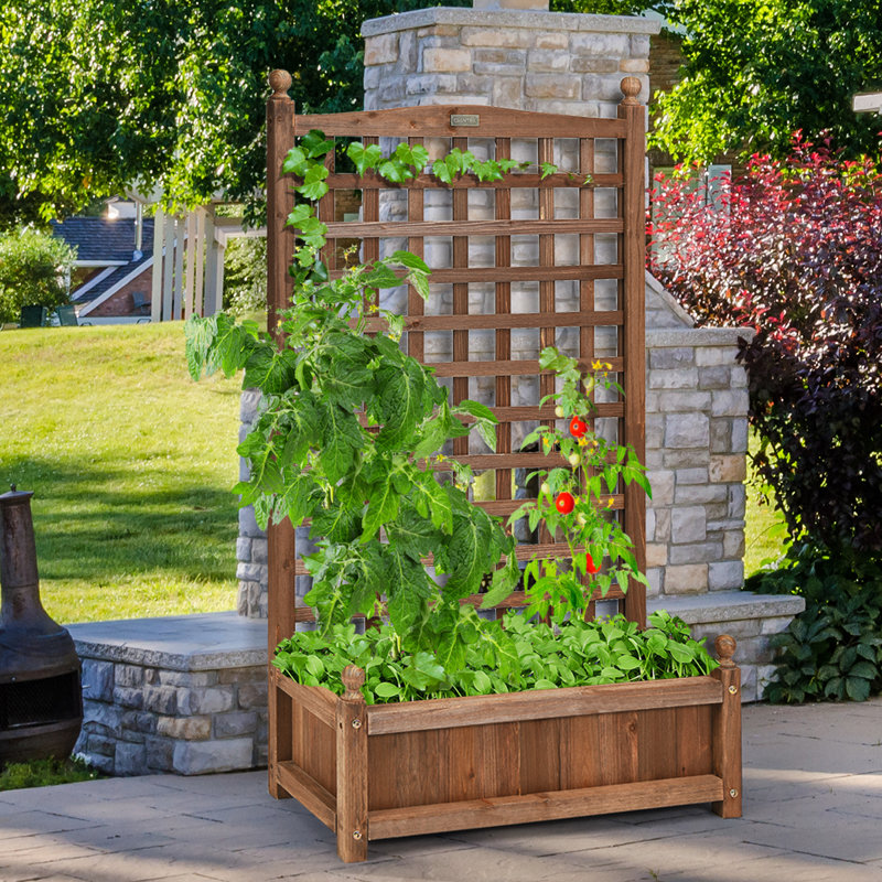 Georgia-May Wood Planter Box with Trellis, 48" H x 25" W x 11" D