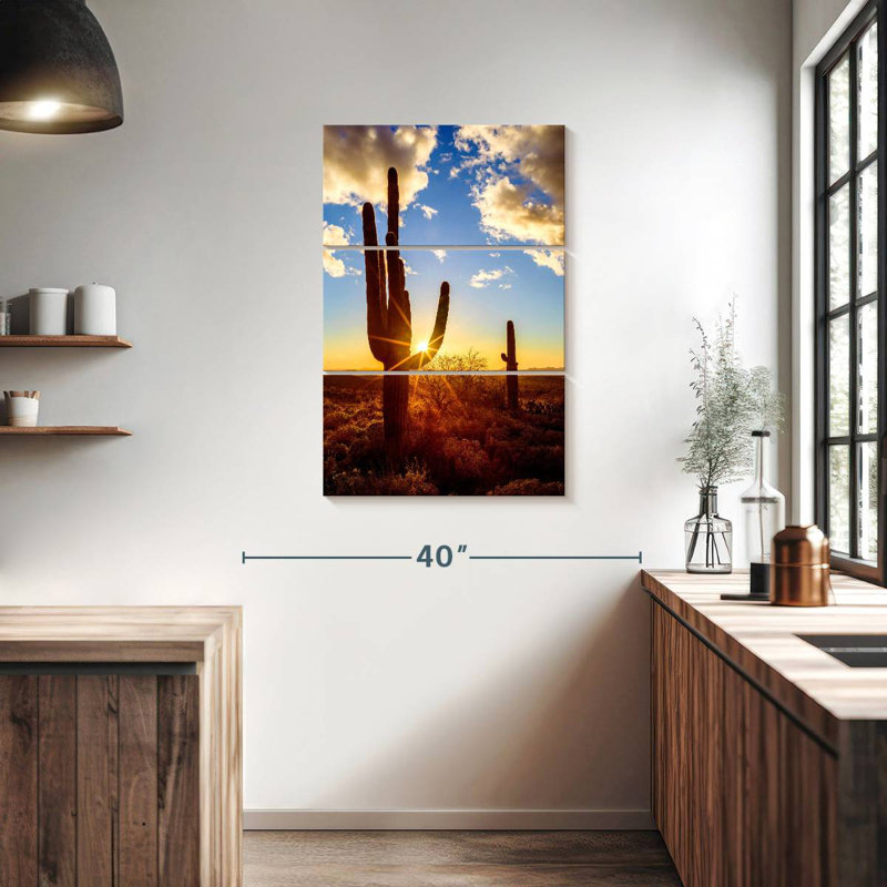 Parc national Nicci Saguaro Est V, H 38 po x l 24 po